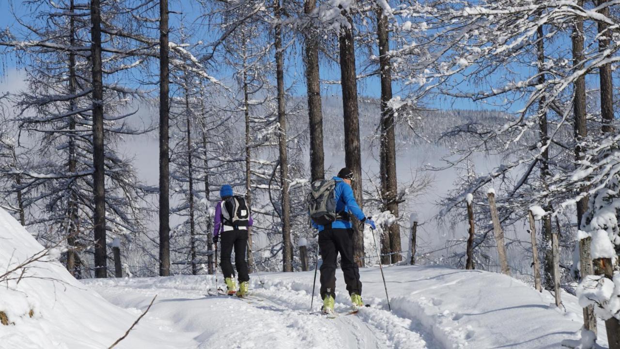 Alpensportlodge อัลเทนมาร์คท์ อิม พองเงา ภายนอก รูปภาพ